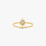 North Star, 14K Gold and Diamonds